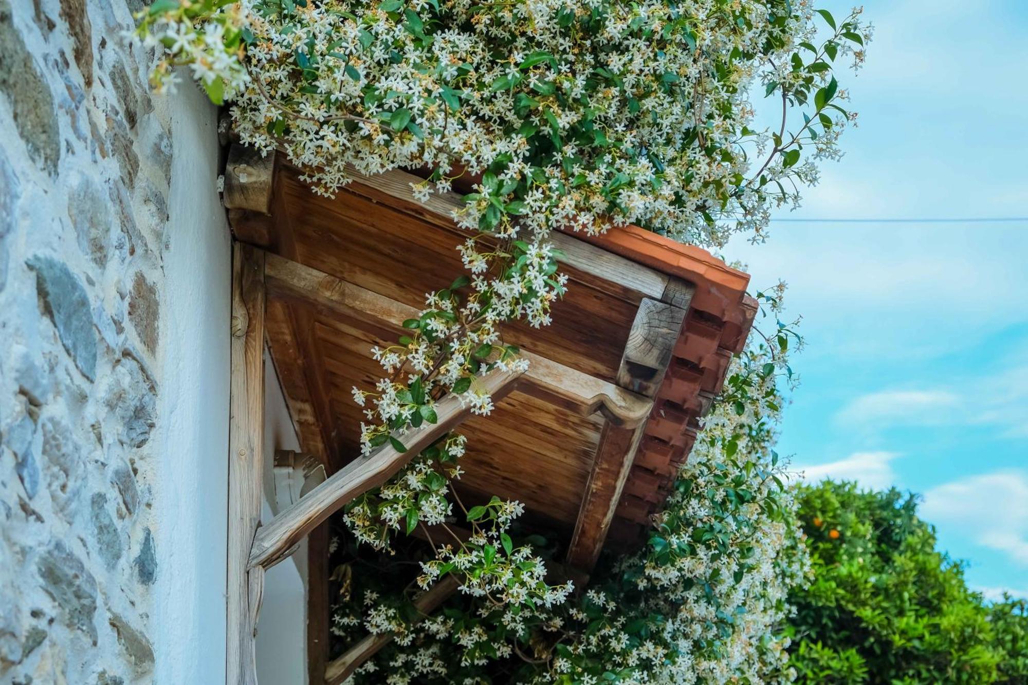Cozy House In Pelion Daire Káto Lekhónia Dış mekan fotoğraf